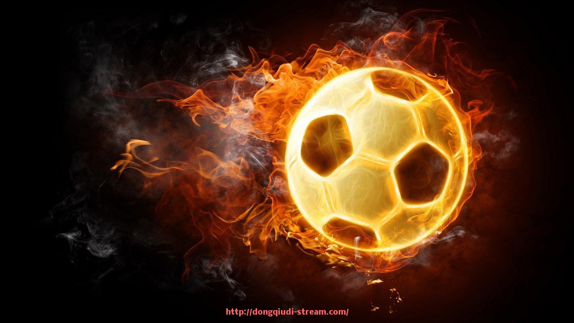 懂球帝直播-德甲各球队2025年盈利与亏损情况一览